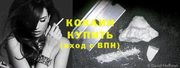 прущие грибы Лабытнанги