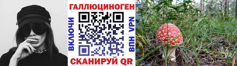 Псилоцибиновые грибы Cubensis omg зеркало Апшеронск